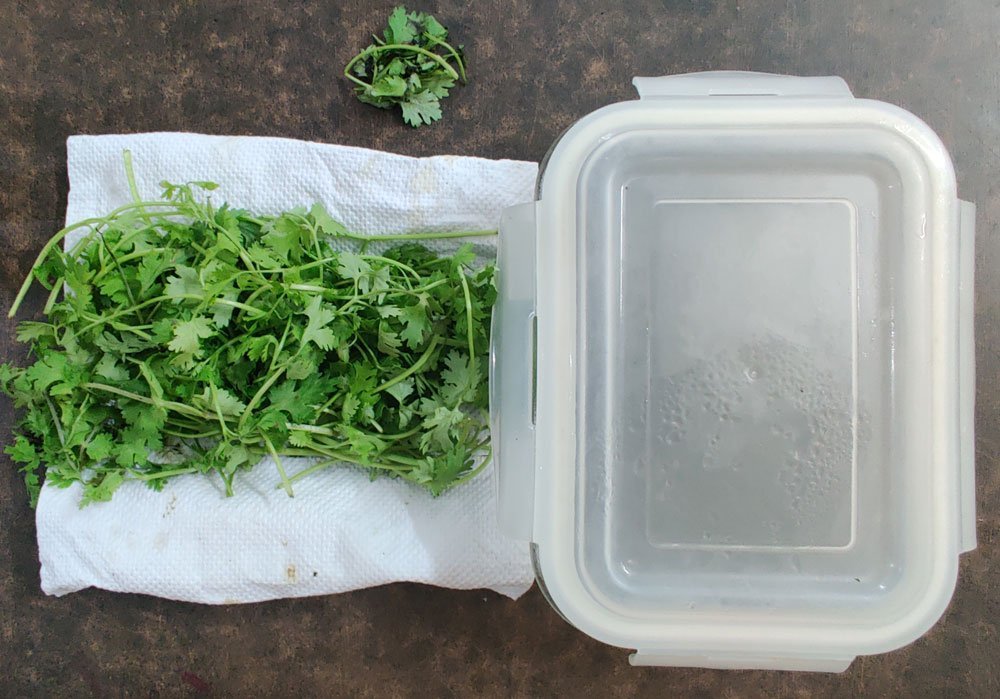 how to preserve coriander leaves- wrapped in paper towel and kept in glass container.