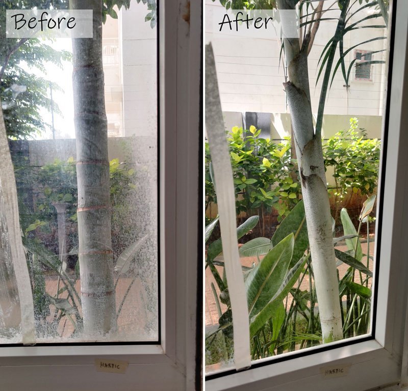 how to remove hard water stains from glass- using harpic
