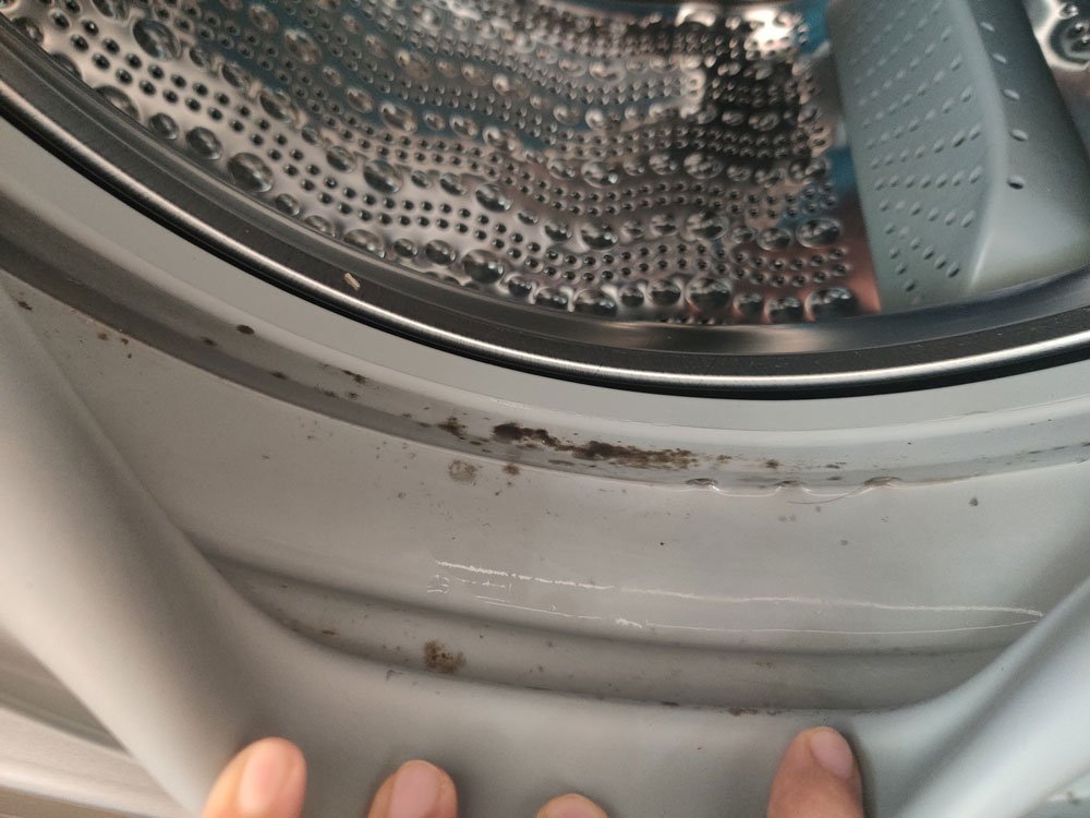 clean mold from rubber seal of front load washing machine