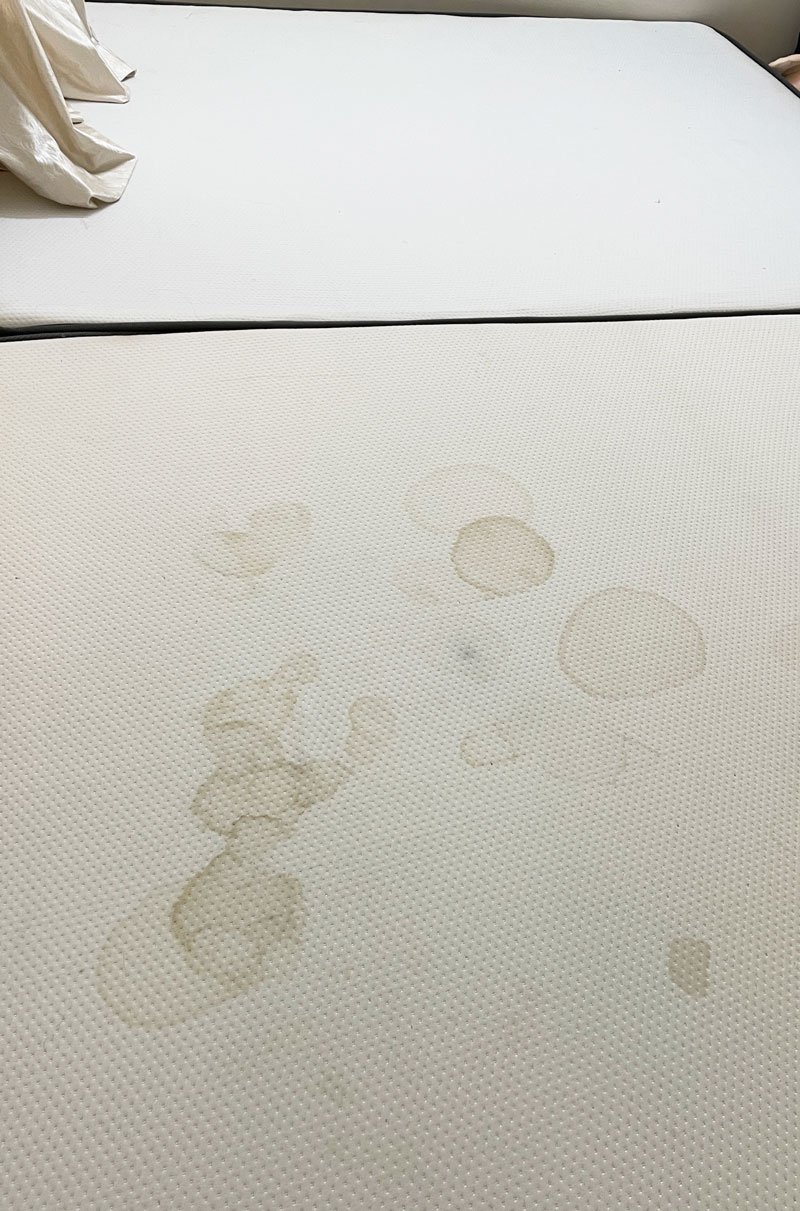 Why Do You Need Mattress Protector? Everything Better