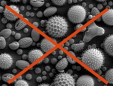 anti allergen