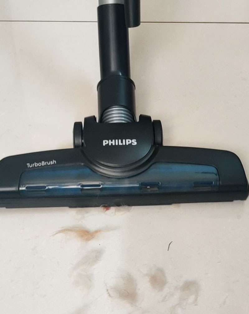 removing pet hair for Philips PowerPro FC9352/01 Vacuum Cleaner Review