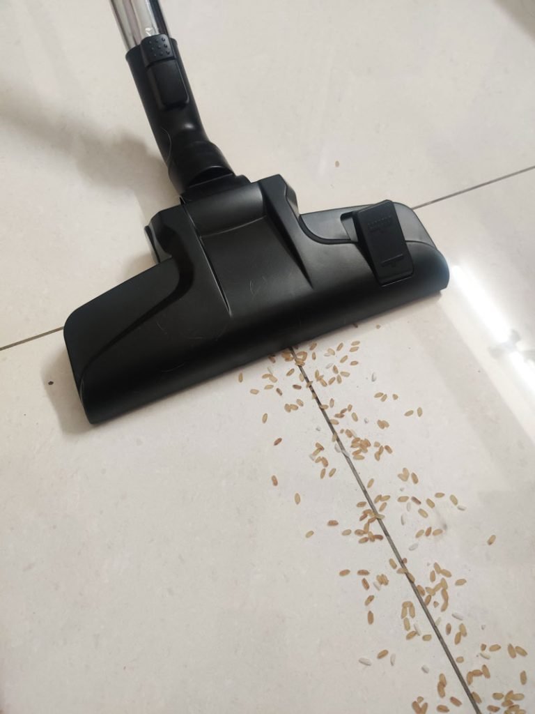 testing on rice for Amazonbasics cylinder vacuum cleaner review