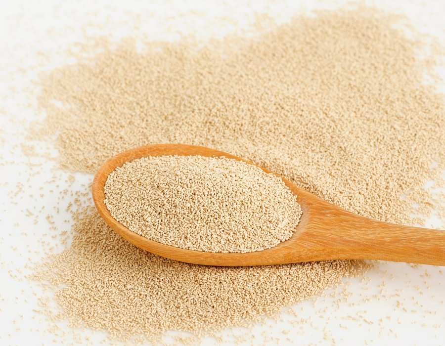 Yeast 101 Exploring Active Dry Yeast Vs Instant Yeast Everything Better
